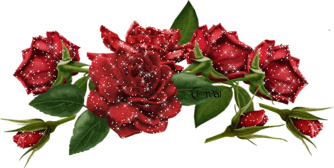 Rosa Teiler GIF