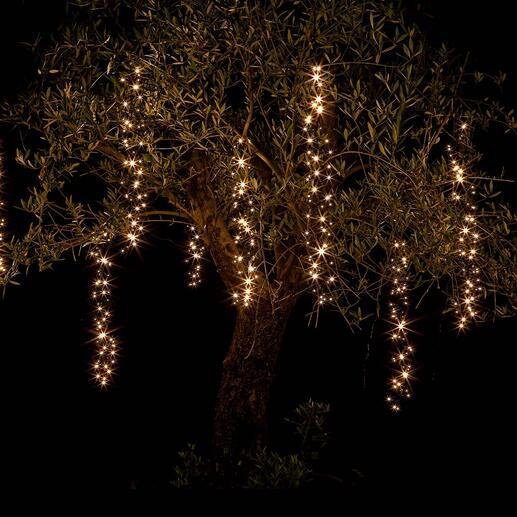 Decorando Com Luzes Este Outono