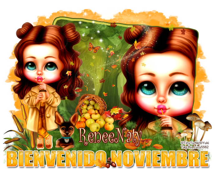 BIENVENIDO  MES DE NOVIEMBRE - Página 2 B9mudufwkr8